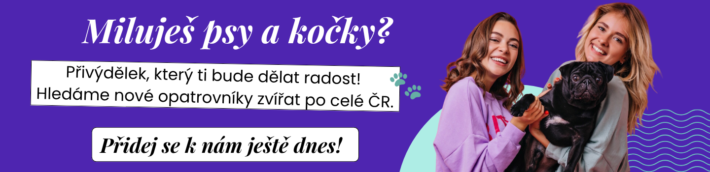 REKLAMA