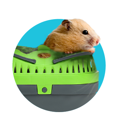 Přepravka pro křečky: jakou vybrat? 