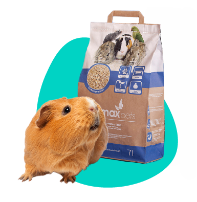 Co dát na dno klece? Podestýlka do klece pro malá zvířata