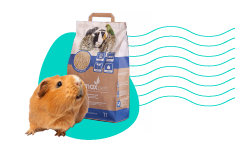 Co dát na dno klece? Podestýlka do klece pro malá zvířata