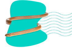 Užovka hladká: všechny informace a popis druhu