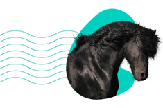 Fríský kůň: popis plemene, charakter, cena