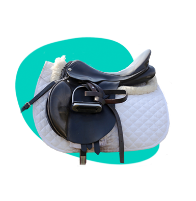 Věci pro koně: jezdecké potřeby a vybavení pro koně