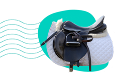 Věci pro koně: jezdecké potřeby a vybavení pro koně