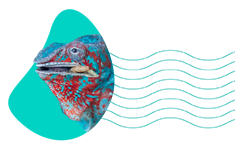 Čím se živí chameleoni? Nejlepší tipy 